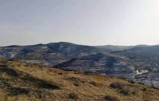 1595319376118793.jpg 1595319376118793.jpg