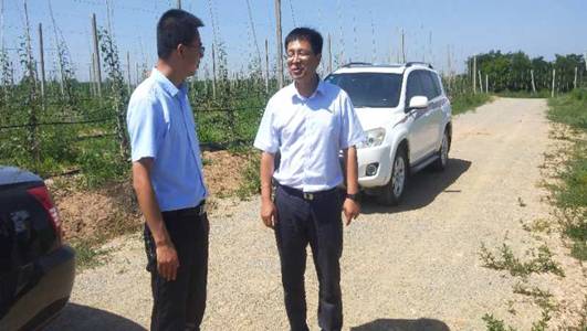 1595319525357163.jpg 1595319525357163.jpg